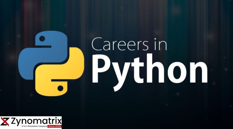  Embarking on a Rewarding Career as a Python Developer.