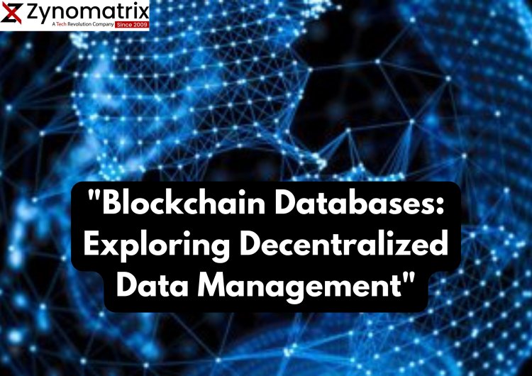 "Blockchain Databases: Exploring Decentralized Data Management"